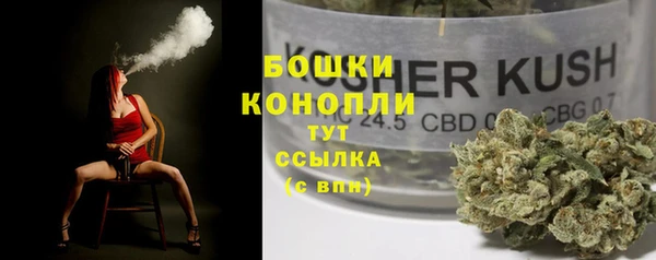 метадон Козельск