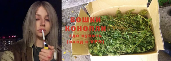 метадон Козельск